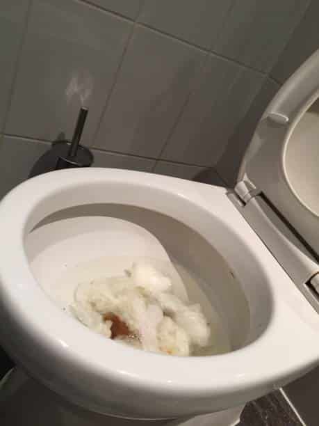 wc intasato rovinato da acido muriatico