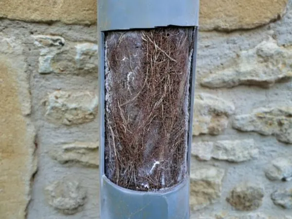 fresatura radici tubi