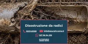 servizio di rimozione radici nei tubi di scarico
